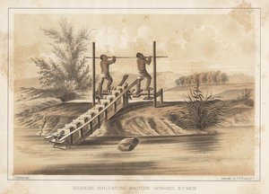 Chinese Irrigating Machine Worked by Men, 1855 by Meffert